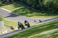 brands-hatch-photographs;brands-no-limits-trackday;cadwell-trackday-photographs;enduro-digital-images;event-digital-images;eventdigitalimages;no-limits-trackdays;peter-wileman-photography;racing-digital-images;trackday-digital-images;trackday-photos